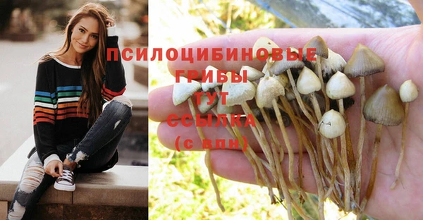 меф Кинешма
