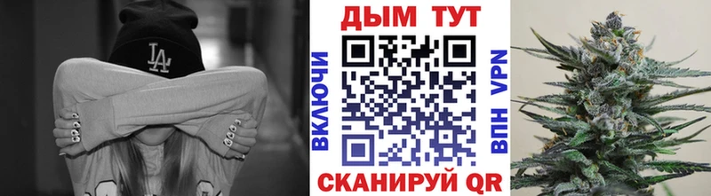 Шишки марихуана AK-47  Купить закладки  Инта 